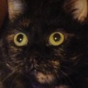 Meet your Posher, Terry